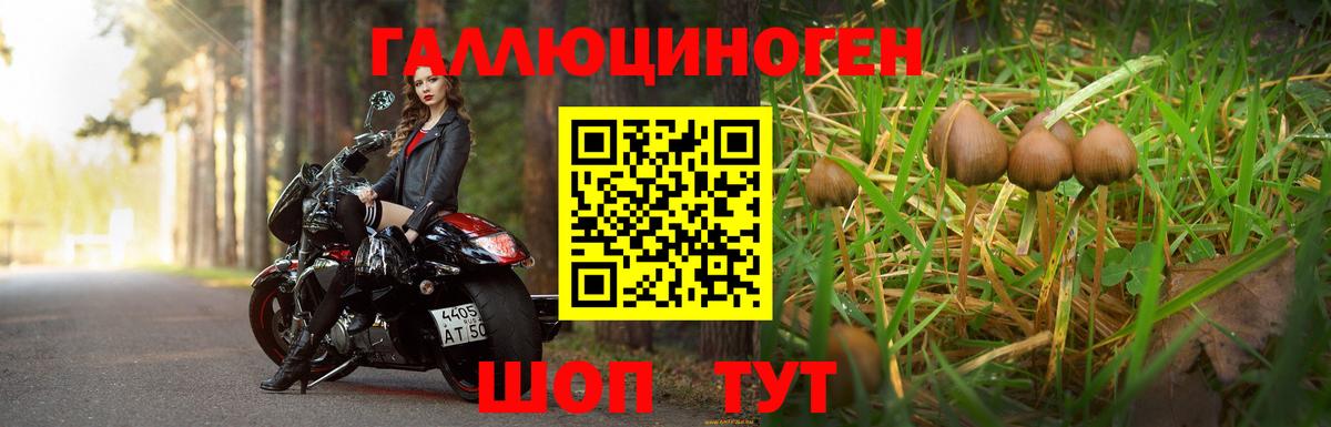 Галлюциногенные грибы мухоморы  Галлюциногенные грибы Psilocybe  Вход с VPN  купить наркотики цена  Нарткала 