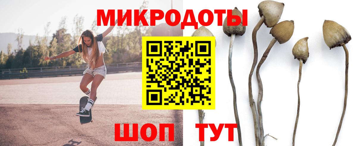 Псилоцибиновые грибы мухоморы Нарткала